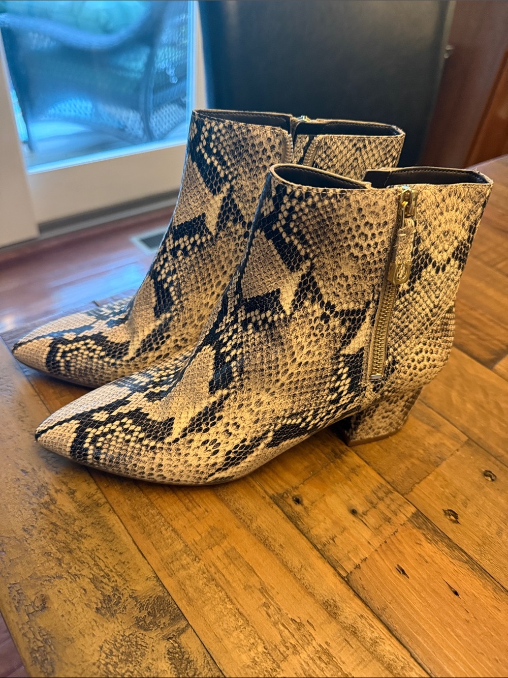 Cole Haan Snake-Print Pointed Toe Ankle Booties - Black & Cream